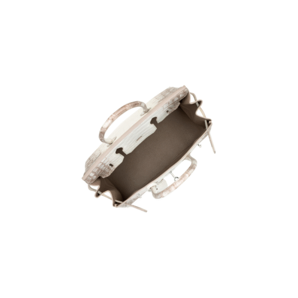 Hermes Birkin 30 Himalaya Matte Niloticus Crocodile  Palladium Hardware