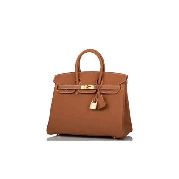 Hermes Birkin 25 Gold Togo Gold Hardware