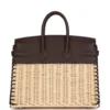Hermes Picnic Birkin 25 Rouge Sellier Palladium Hardware
