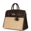 Hermes Picnic Birkin 25 Rouge Sellier Palladium Hardware