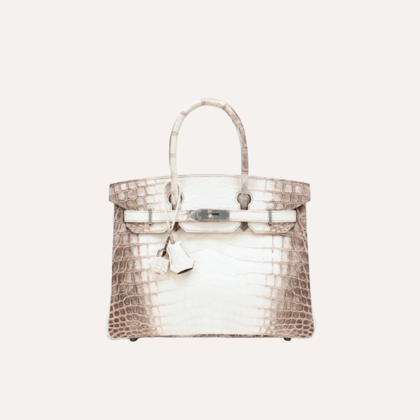Hermes Birkin 30 Himalaya Matte Niloticus Crocodile  Palladium Hardware